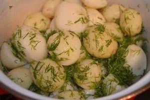 как сделать вареную молодую картошку со сметаной и зеленью